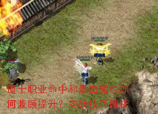 道士职业命中和暴击属性如何兼顾提升?实战<a href=