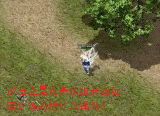 沙巴克是传奇私服开服玩家训练的绝佳选择吗? 沙巴克是传奇私服开服玩家训练的绝佳选择吗?