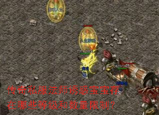 传奇私服法师诱惑宝宝存在哪些等级和数量限制? 传奇私服法师诱惑宝宝存在哪些等级和数量限制?