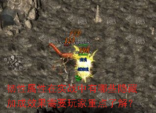 ʵսЩؼӳЧҪص˽⣿