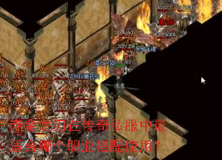 赤金之刃在传奇私服中最适合哪个职业搭配使用? 赤金之刃在传奇私服中最适合哪个职业搭配使用?