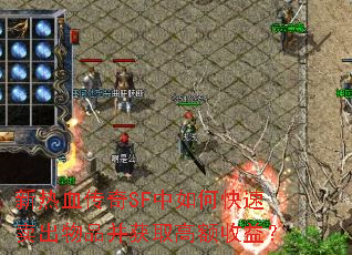 新热血传奇SF中如何快速卖出物品并获取高额收益? 新热血传奇SF中如何快速卖出物品并获取高额收益?
