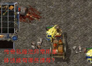 传奇私服法师常用单体技能有哪些推荐? 传奇私服法师常用单体技能有哪些推荐?