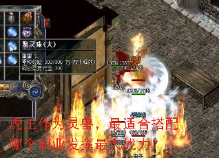 虎王作为灵兽,最适合搭配哪个职业发挥最大战力? 虎王作为灵兽,最适合搭配哪个职业发挥最大战力?