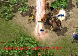 最新传奇召唤的宠物有哪些作用? 最新传奇召唤的宠物有哪些作用?