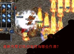 最新传奇召唤的宠物有哪些作用? 最新传奇召唤的宠物有哪些作用?