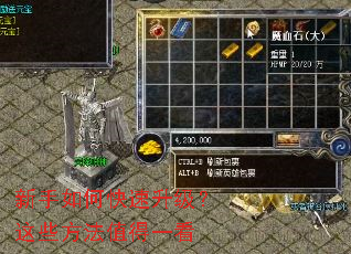 新手如何快速升级?这些方法值得一看 新手如何快速升级?这些方法值得一看