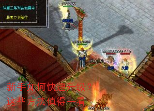 新手如何快速升级?这些方法值得一看 新手如何快速升级?这些方法值得一看