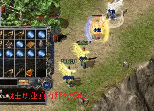 战士职业真的那么强吗? 战士职业真的那么强吗?