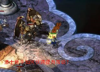 道士新手如何快速提升等级? 道士新手如何快速提升等级?