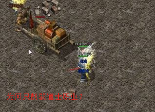 为何只削弱道士职业? 为何只削弱道士职业?