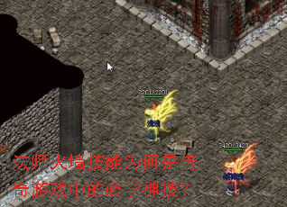 ʦǽΪǴϷеıѧ񼼣