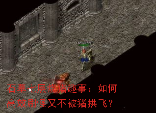 ʯĹ߲Ȥ£θЧˢֲɣ