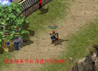 魔龙精英怪究竟在何处刷新? 魔龙精英怪究竟在何处刷新?
