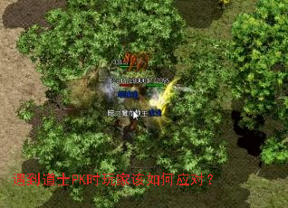 遇到道士PK时玩家该如何应对? 遇到道士PK时玩家该如何应对?