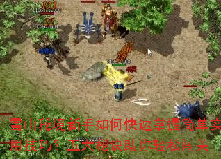 ѩɽؾοռʵüɣؾɴ