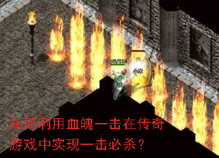 �������Ѫ��һ���ڴ�����Ϸ��ʵ��һ����ɱ��