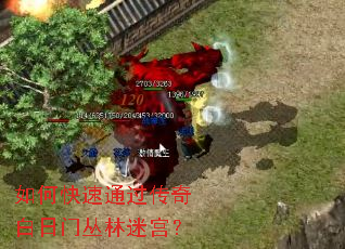 ��ο���ͨ����������Ŵ����Թ���