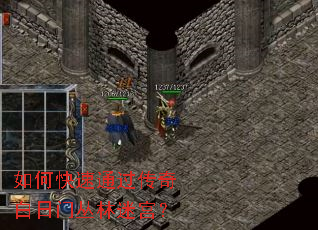 ��ο���ͨ����������Ŵ����Թ���