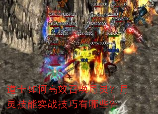 ��ʿ��θ�Ч�ٻ����飿���鼼��ʵս��������Щ��