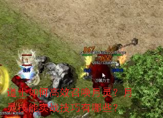 ��ʿ��θ�Ч�ٻ����飿���鼼��ʵս��������Щ��