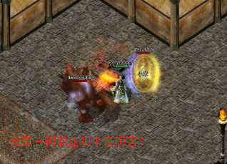 ��������ְҵ�ĸ���������