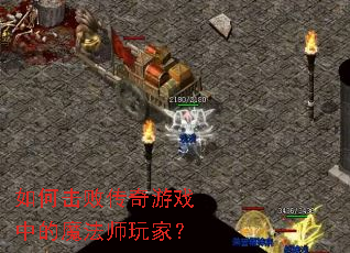 ��λ��ܴ�����Ϸ�е�ħ��ʦ��ң�