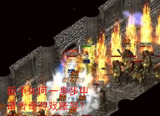 �������һ�������봫����Ϸ�˺ţ�