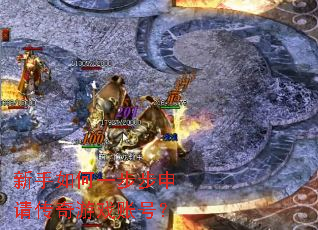 �������һ�������봫����Ϸ�˺ţ�