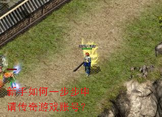 �������һ�������봫����Ϸ�˺ţ�