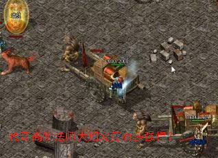 ����߽׷�ʦ���о����ж�ǿ����