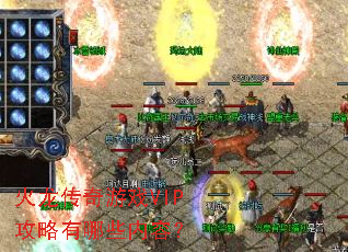 ����������ϷVIP��������Щ���ݣ�