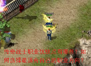 ����սʿְҵ��ȱ������Щ�����ѡ�����ʺ��Լ���ְҵ����