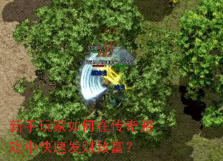 �����������ڴ�����Ϸ�п��ٷ����¸���