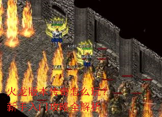 �����汾������ô�棿�������Ź���ȫ����