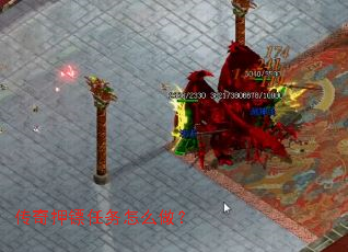 ����Ѻ��������ô����