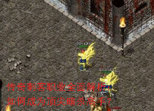 ����̿�ְҵȫ���������γ�Ϊ���ⰵɱ���֣�