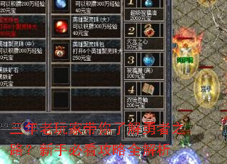 三年老玩家带你了解勇者之路?新手必看攻略全解析 三年老玩家带你了解勇者之路?新手必看攻略全解析