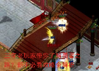 三年老玩家带你了解勇者之路?新手必看攻略全解析 三年老玩家带你了解勇者之路?新手必看攻略全解析