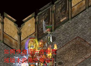 ��ο��������������汾�Ľ�ɫ�ȼ���