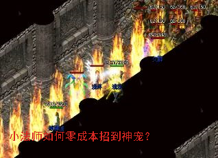 小法师如何零成本招到神宠? 小法师如何零成本招到神宠?