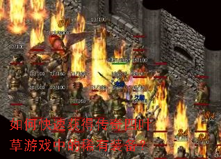 ��ο��ٻ�ô�����Ҷ����Ϸ�е�ϡ��װ����