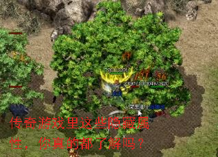 传奇游戏里这些隐藏属性,你真的都了解吗? 传奇游戏里这些隐藏属性,你真的都了解吗?