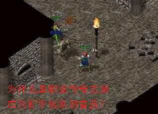 Ϊʲô��ְҵ���淨ʦ��Ϊ������ҵ���ѡ��