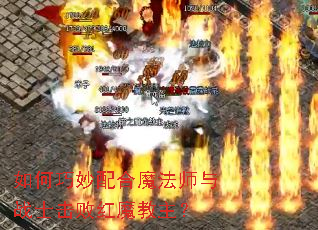 ����������ħ��ʦ��սʿ���ܺ�ħ������