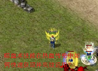 ��Ѫ����������Ѫ��������ο��ٻ�ȡ����Ч���ã�