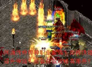 ��ͨ��������ְҵ��ǿ����ο��������ȼ���װ����ȡ��������Щ��