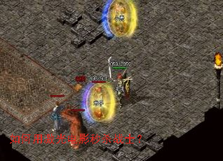 ����ü����Ӱ��ɱսʿ��