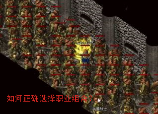 �����ȷѡ��ְҵ��ϣ�