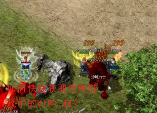 ��ο��ٻ�ȡ������Ϸ�е�VIP��Ȩ��